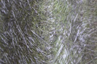 Middlewood Green fibreglass roof work